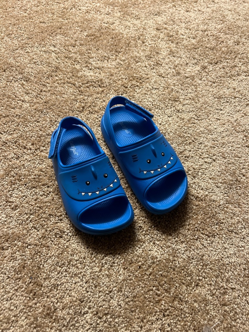Cat & Jack Blue Sandal